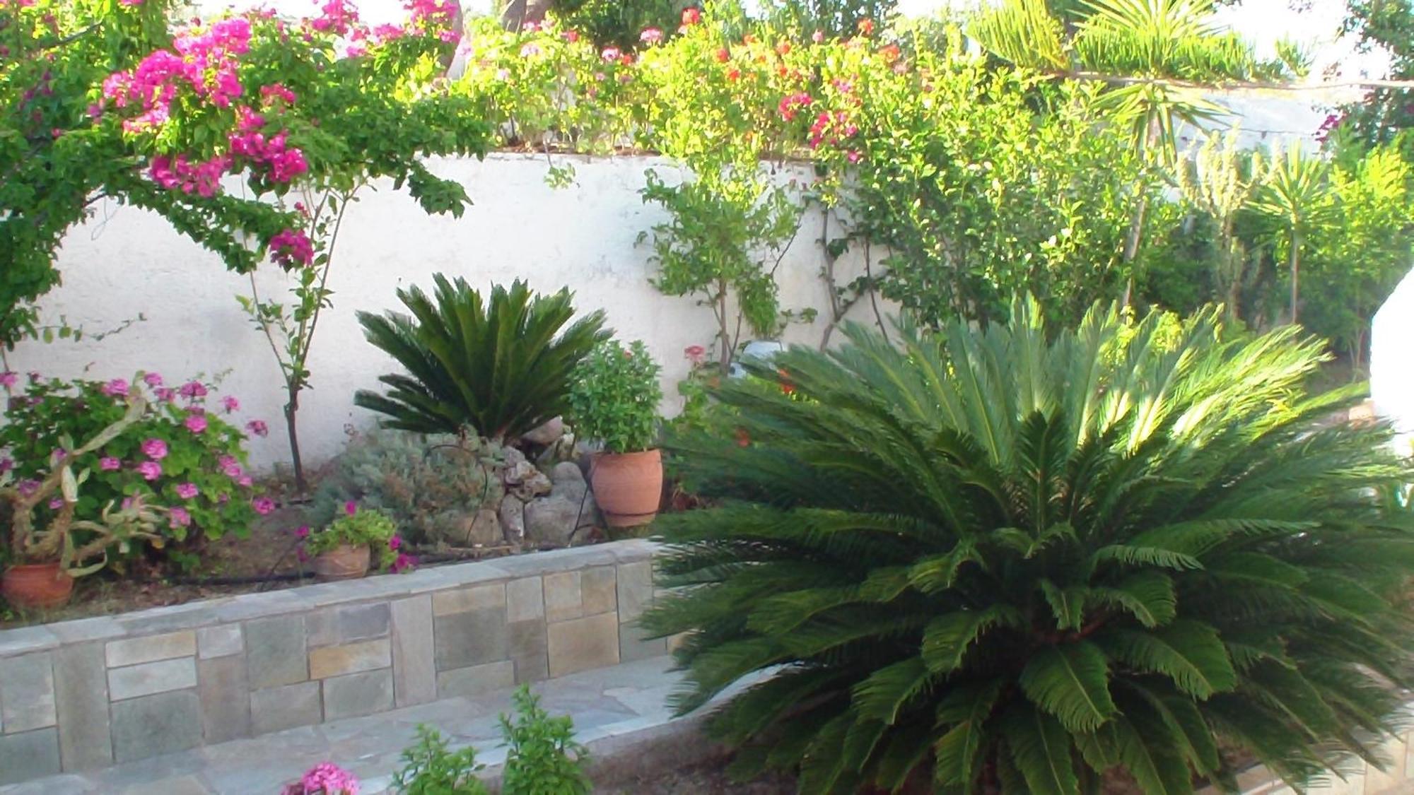 Creta Vassakis Studios 2 Kéfalos Dış mekan fotoğraf