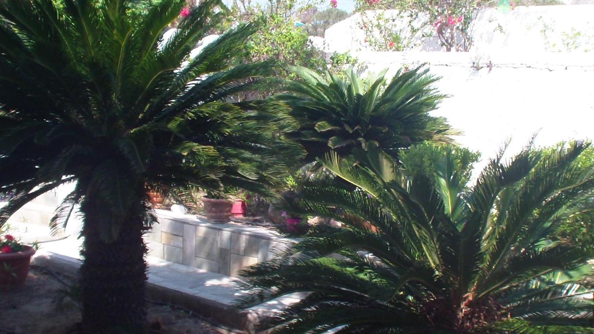 Creta Vassakis Studios 2 Kéfalos Dış mekan fotoğraf